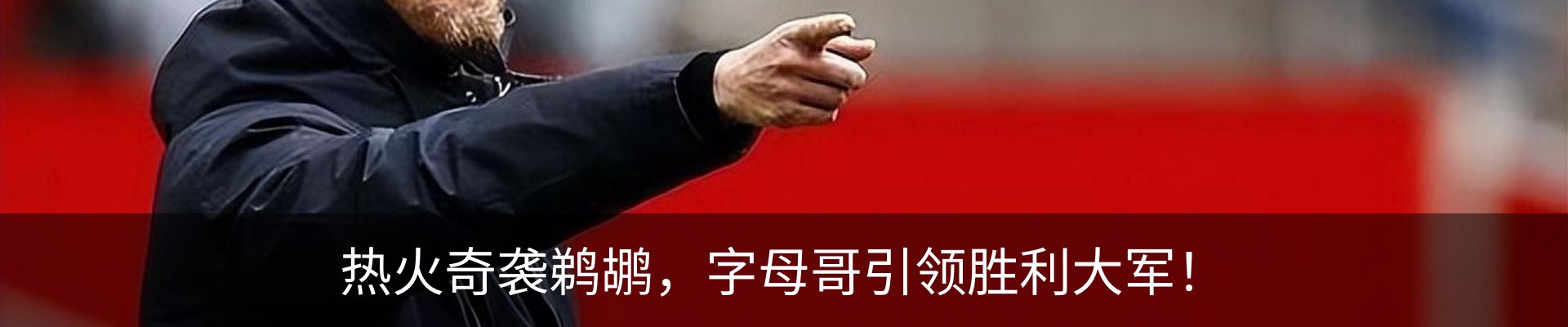 新闻动态